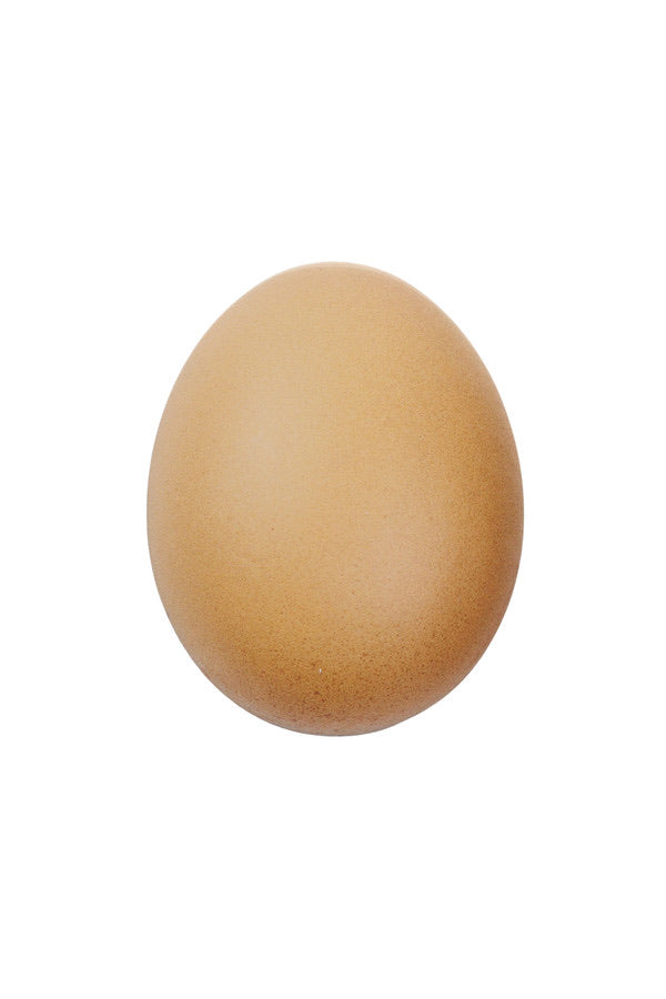 EGG EARRING